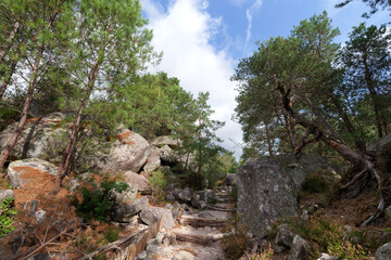 Fototapeta premium Restoration of the eroded sections in the Franchard gorges. Fontainebleau forest