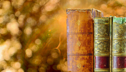 stack of  vintage books against lens flare and colored trees background.Autumn book fair,...