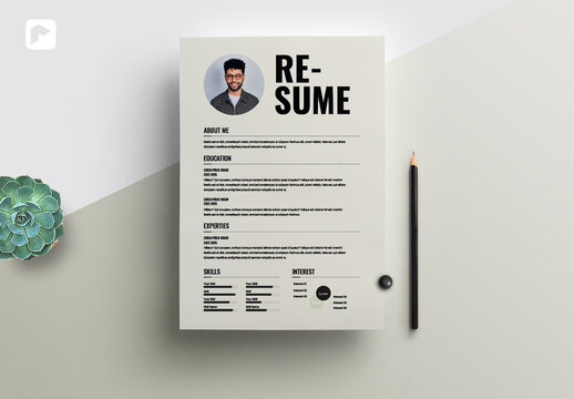 Resume Layout