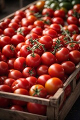 A crate filled with ripe tomatoes