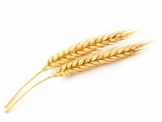 Golden Ear of Wheat Isolated on White Background. Generative ai