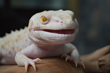 Albino gecko creature. 3d photo-realistic illustration.