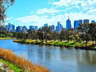 Green trees and grass by the Yarra River with city buildings in the background. Melbourne Victoria,...