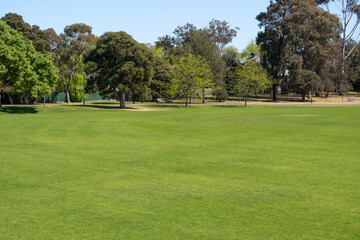 Background texture of a well-maintained green grass lawn in a public outdoor sports ground with trees in the distance. Copy space for design or product. Melbourne VIC Australia.
