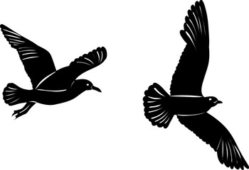 flying seagull silhouette, white background, vector