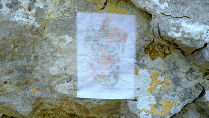 Paper glued on lichen rock