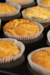 baked delicious and fresh cupcakes in cupcake molds