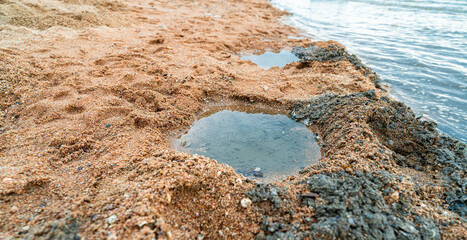 Small pond on sand and mud caused by people who dug it. On beach by the sea.