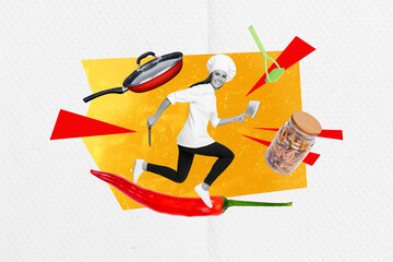 Collage artwork picture of happy smiling lady chef professional cooker isolated creative white color background