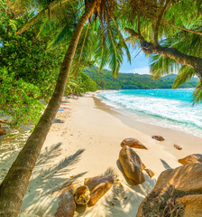 Palm trees and rocks in world famous Anse Lazio in Praslin island