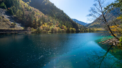 Panda Lake, Jiuzhaigou, China: A mirror to the sky and the trees, reflecting the tranquility of the surrounding forest