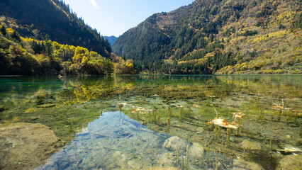 Crystal lake JiuZhaigou Nature reserve, China
