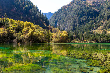 Beutiful autumn foliage at Crystal lake JiuZhaigou Nature reserve, China