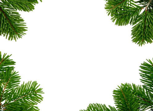 Christmas tree frame isolated on white transparent, Xmas spruce, green fir pine twigs, PNG. 