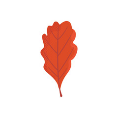 Obraz premium Autumn hand drawn clipart. Fall season cozy symbol. Autumn seasonal element - red oak leaf. Harvest colorful illustration. Thanksgiving flat icon. Stock design