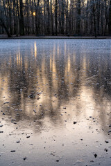 On the frozen ice surface of a lake in the forest, trees reflect in warm morning light.