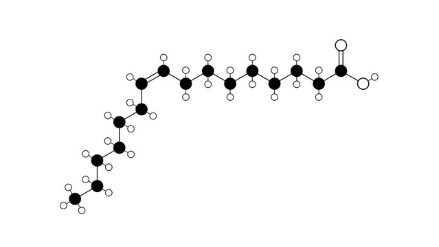 palmitoleic acid molecule, structural chemical formula, ball-and-stick model, isolated image omega-7