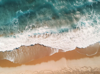 aerial view of a tropical beach with palm trees and water