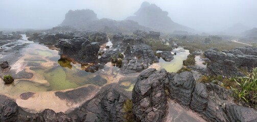 Surreal natural pools on top of table Mount Roraima, Venezuela, Canaima National Park, South America