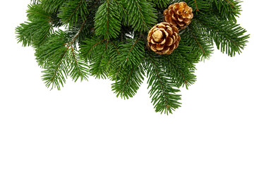 Christmas tree branch and golden cones isolated on white transparent, Xmas spruce, green fir pine...