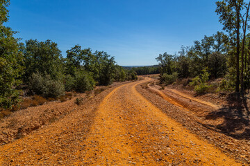 Pilgrims walk along the Camino De Santiago