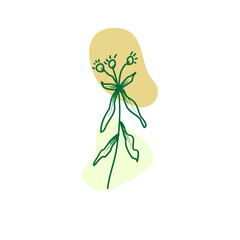 flower isolated on white