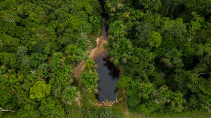 The lagoons in the Amazon rainforest, with black water that form ravines later on, are wetlands...