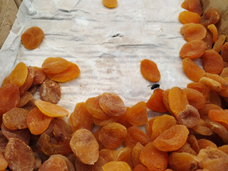 Flyinsect sits on dirty dried apricots in box in local market. Infection in supermarket. Unhealthy...