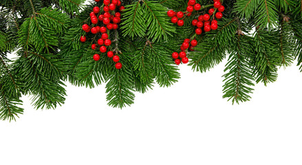 Christmas tree border and red berries decoration isolated on white transparent, PNG. 