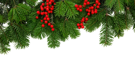 Christmas tree border and red berries decoration isolated on white transparent, PNG. 