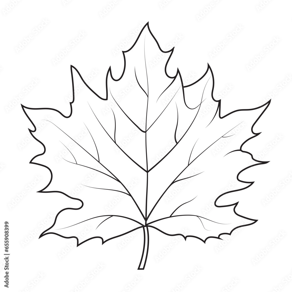 Wall mural contour drawing of a maple leaf. autumn leaf