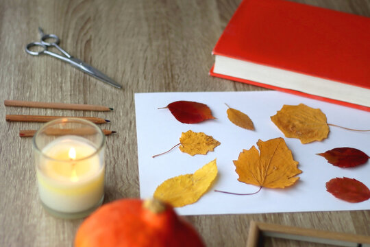 Paper with pressed colorful leaves, book, scissors, pencils, picture frame, scented candle and decorative pumpkin on the table. Making autumnal themed herbarium at home. Selective focus.