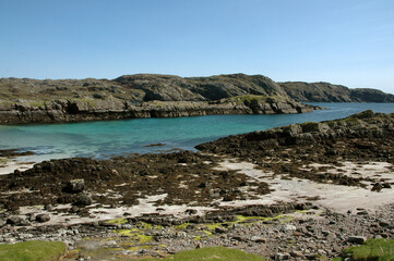 falaise, oiseaux de mer; réserve naturelle nationale; ile Anda; Ecosse; Grande Bretagne