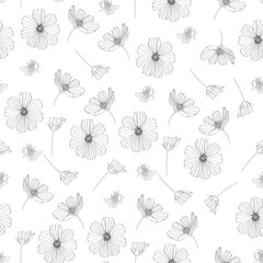 Cosmos flower seamless pattern illustration. Floral seamless pattern with line black cosmos flowers. For textile, wallpaper, wrapping paper, print, greeting. 