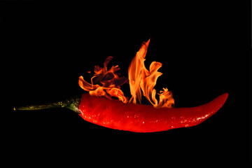 Brennende rote Chillischote, schwarzer Hintergrund, horizontal 