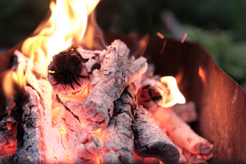 Burning wood in the grill, fire, preparing coals for barbecue.