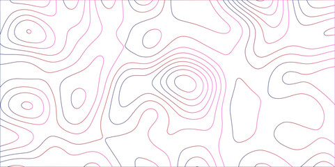 Abstract white background with colorful gradient Topographic line map pattern. Contour elevation topographic and textured Background Modern design with White background with topographic wavy patte.