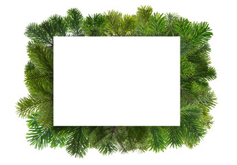 Christmas empty card on fir tree frame isolated on white transparent, Xmas greeting card template, PNG. 