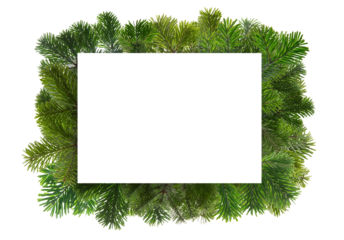 Christmas empty card on fir tree frame isolated on white transparent, Xmas greeting card template, PNG. 