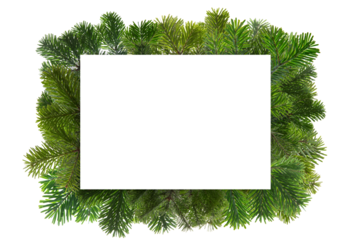 Christmas empty card on fir tree frame isolated on white transparent, Xmas greeting card template, PNG. 