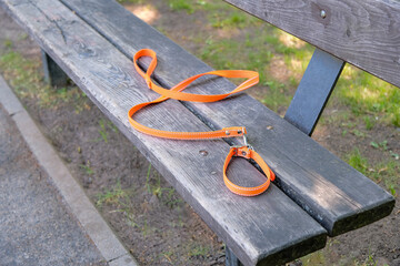 an orange collar for a small dog lies on an empty bench in the park.