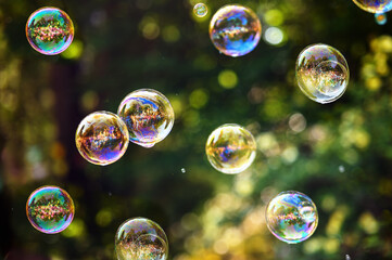 Rainbow soap bubbles on a dark green background in the rays of the sun.