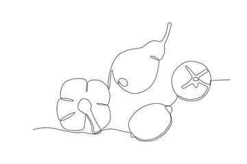 Healthy food for vegans. World vegan day one-line drawing