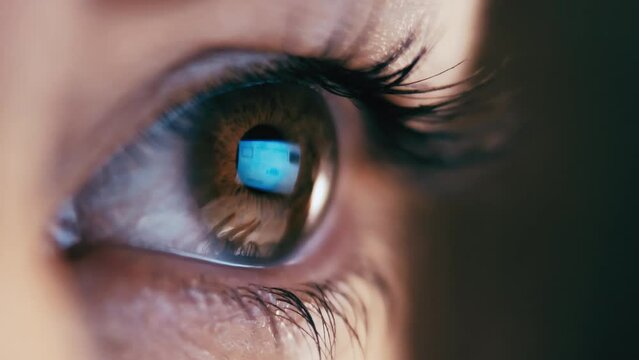 Intense Evening Work: Close-Up of a Woman's Eye Reflecting Laptop Activity