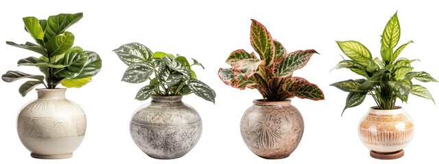 House plants in luxury vintage pot or vase isolated on transparent background generative ai - obrazy, fototapety, plakaty