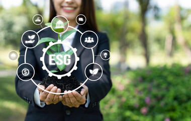 Focused young plant on soil with ESG and eco friendly icon design holding by blurred businesswoman...
