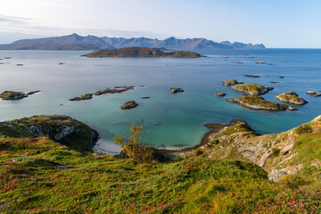 panoramic view over the autumnal colored nature from the island of Kvaløya, Norway, with many wind...