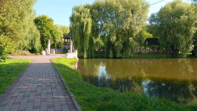 Fresh green scene of Topilche Park in Ternopil city, Ukraine, Europe. Adorable summer view of Seret river. Beauty of nature concept background. 4K video (Ultra High Definition).