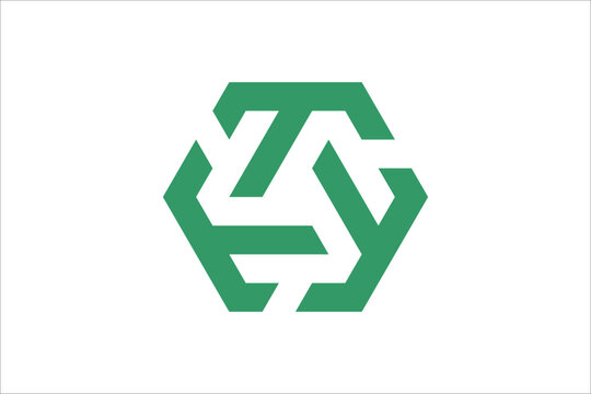 letter t hexagon logo design vector illustration template
