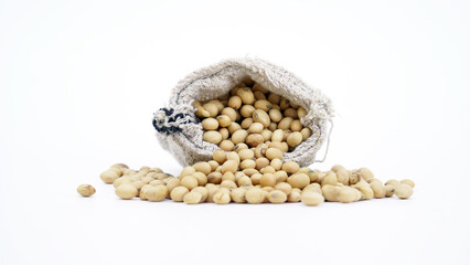 Closeup of Dried soybean or soya beans. Glycine max